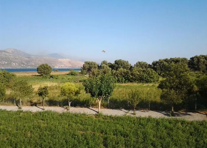 Liza リクスリオン