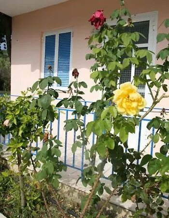 Liza * リクスリオン